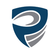 Pinnacle Consulting Group